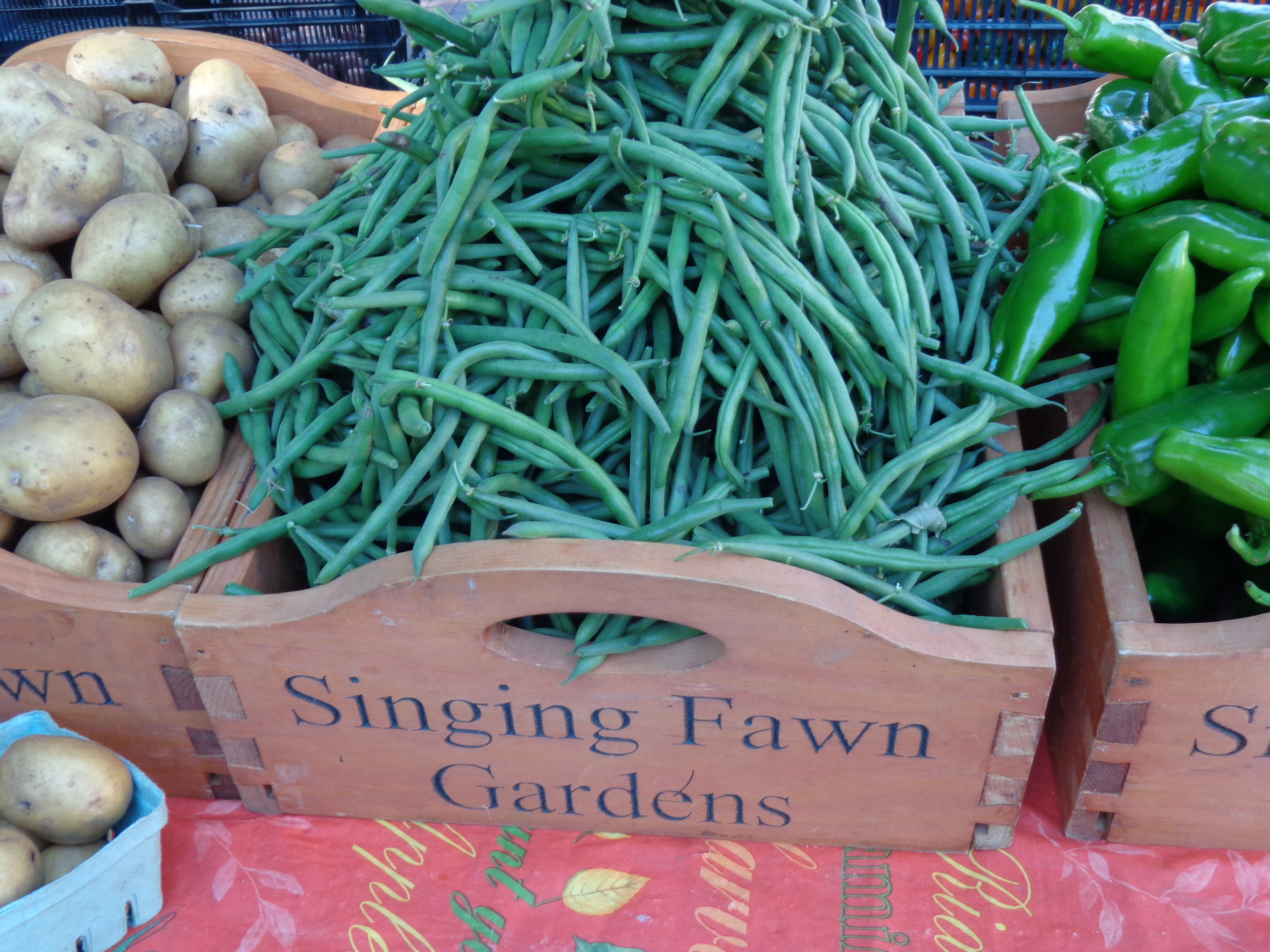 Green beans, potatoes, and peppers